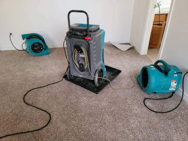 Best Water damage restoration near me  in Ripley, WV