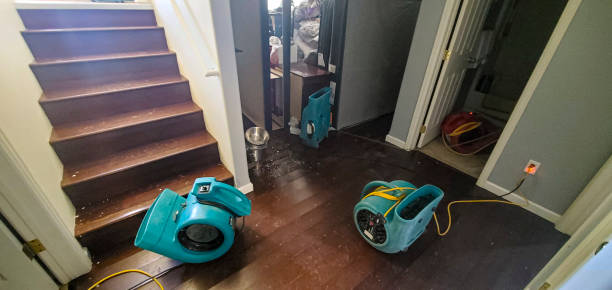 Best Commercial water damage restoration  in Ripley, WV