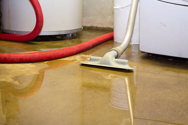 Best Flood restoration services  in Ripley, WV