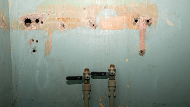 Best 24/7 water damage repair  in Ripley, WV