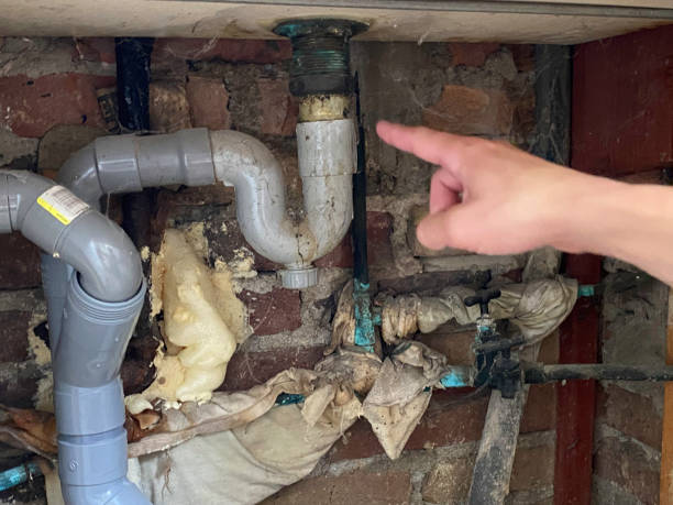 Best Carpet water damage restoration  in Ripley, WV