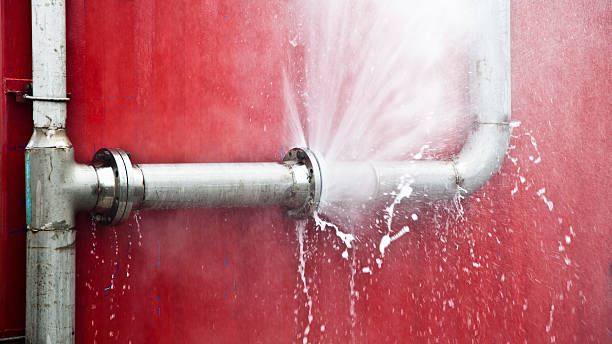 Best Water damage cleanup near me  in Ripley, WV